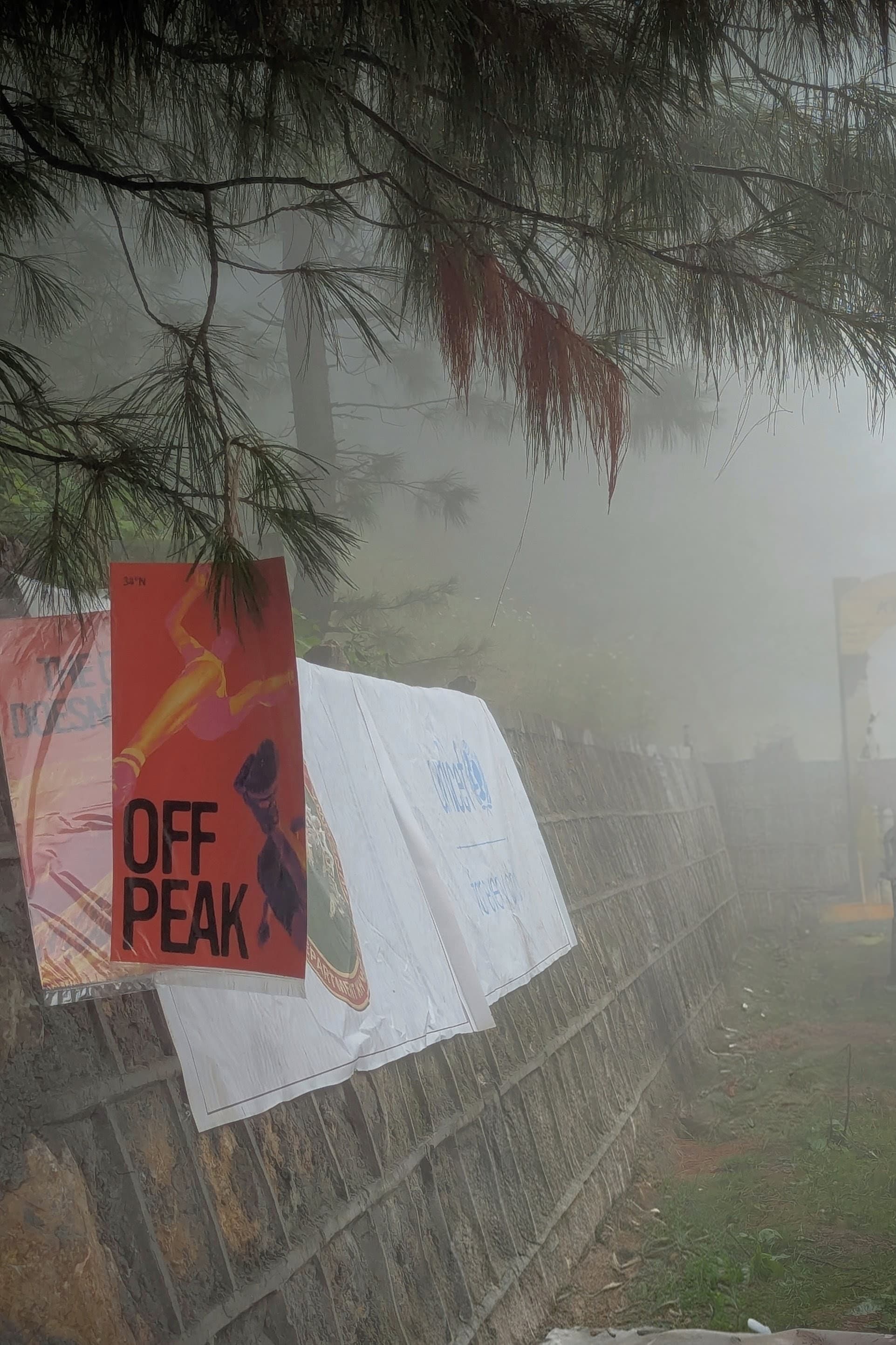 Off Peak event posters in a misty pine forest